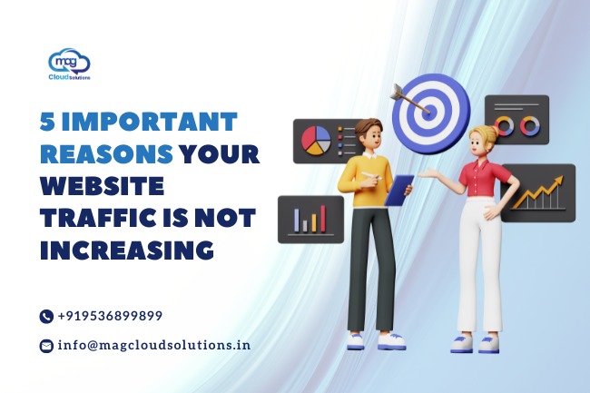 Website Traffic